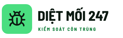 Thông Cống 24h